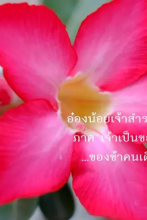 ปกนิยาย อ๋องน้อยเจ้าสำราญ ๒ ภาค เจ้าเป็นของข้า...ของข้าคนเดียว (YURI)