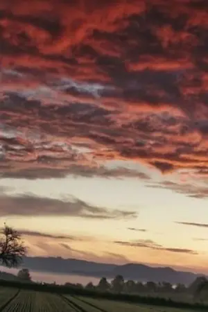 ปกนิยาย สืบสวนเรื่องราวในอดีต