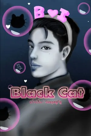 ปกนิยาย Black Cat เปลี่ยนมาเฟียให้มารักกัน