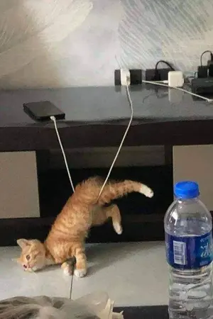 ปกนิยาย คือมันเป็นอย่างนี้นะเออ..