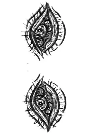 ปกนิยาย ศาสดาตาบอด