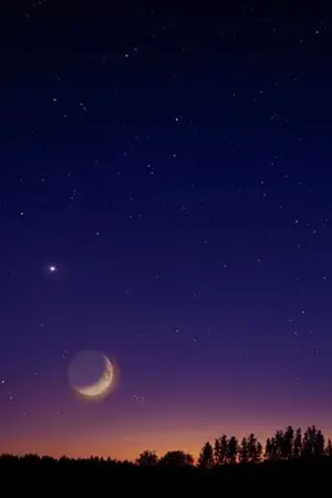 ปกนิยาย คืนนี้ดาวสวยไหม