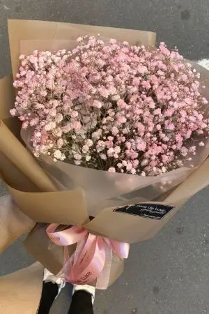 ปกนิยาย i sow a flower this morning