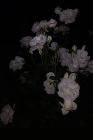 ปกนิยาย แด่คุณ...ผู้เป็นคนที่ผมรัก