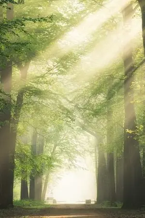 ปกนิยาย คนเย็นชากับนายซื้อบื้อ