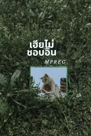 ปกนิยาย เฮียไม่ชอบอิ๋น (Mpreg) ติดเหรียญ 5 ก.ค.