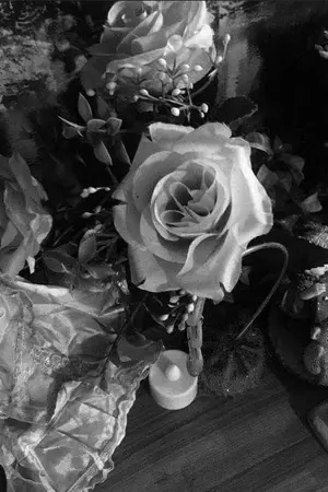 ปกนิยาย ความสวยงามของความรัก