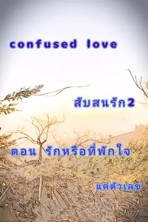 ปกนิยาย confused love สับสนรัก2 ตอน รักหรือที่พักใจ