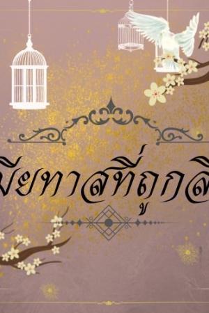 ปกนิยาย เมียทาสที่ถูกลืม [mpreg]