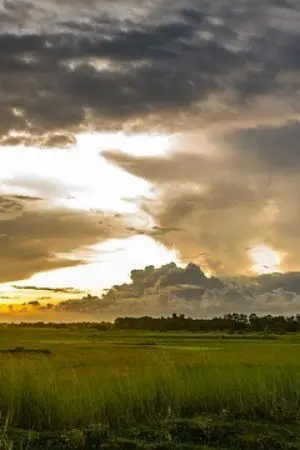 ปกนิยาย เฝ้ามอง