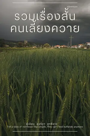 ปกนิยาย