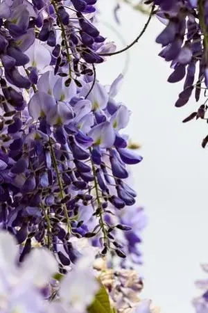 ปกนิยาย ไฟติดแล้วดับยากรู้ไหม