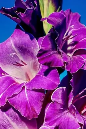 ปกนิยาย คุณนั่นแหละที่เป็นคนทำไม่ใช่ใครเลย