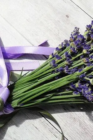 ปกนิยาย เหล้ามันทำให้ใจเต้นแรง555