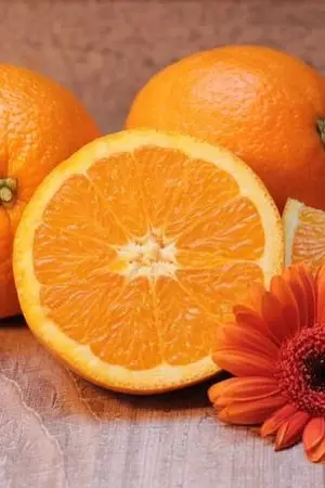 ปกนิยาย บุหงารำไป