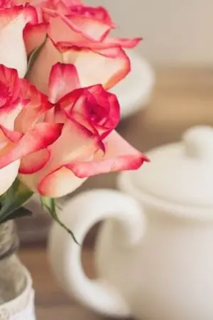 ปกนิยาย 3456