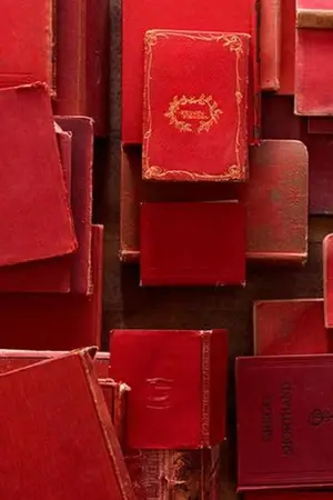 ปกนิยาย master reading