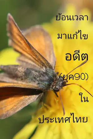 ปกนิยาย ย้อนเวลามาแก้ไขอดีต(ยุค90)ในประเทศไทย (จบบริบูรณ์)