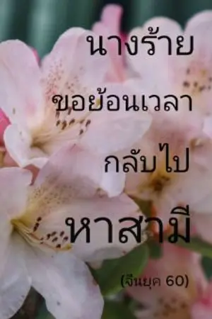 ปกนิยาย นางร้ายขอย้อนเวลากลับไปหาสามี (จีนยุค 60)