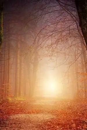 ปกนิยาย Love buddy(เพื่อนรักแต่ห้ามรักเพื่อน)