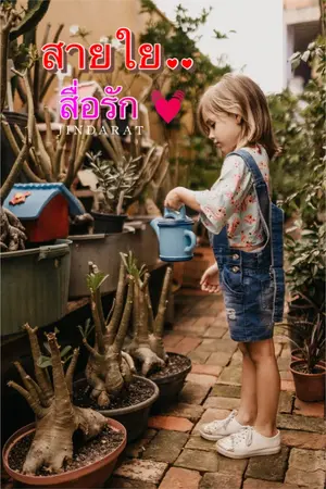 ปกนิยาย สายใย..สื่อรัก