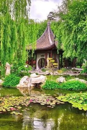 ปกนิยาย จำยอมชายา