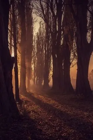 ปกนิยาย Little Boy หนุ่มน้อยกับวันสิ้นโลก