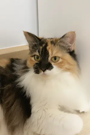 ปกนิยาย เกมเมอร์ ( 1016 ) คือฉันนี่แหละ