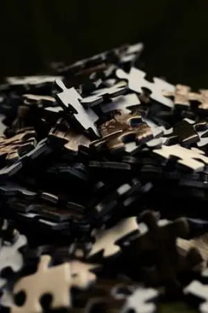 ปกนิยาย ความลับที่ถูกปิด(hight school)