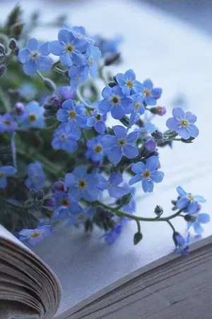 ปกนิยาย read book pdf