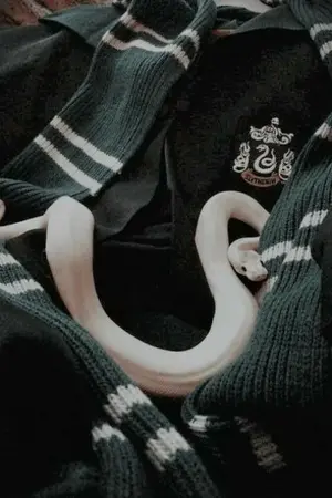 ปกนิยาย [Fic Harry Potter] ย้อนเวลากลับมาในวันที่โซลเมทยังไม่กลายเป็นโวลดี้ [TMR×OC]