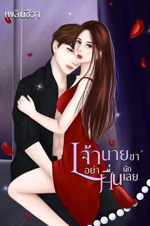 ปกนิยาย