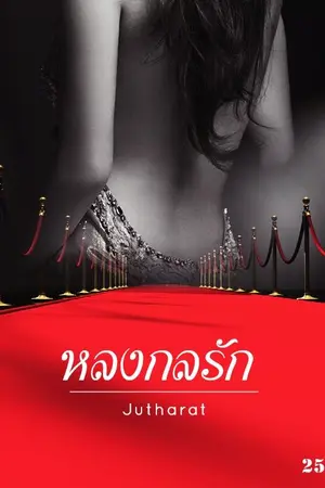 ปกนิยาย