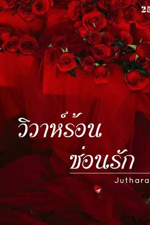 ปกนิยาย