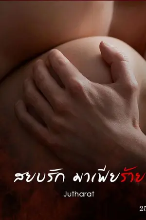 ปกนิยาย