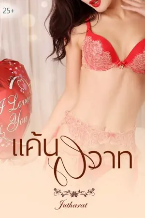 ปกนิยาย