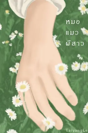ปกนิยาย หมอ/แมว/ผีสาว