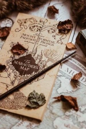 ปกนิยาย [ Harry Potter ] Draconem