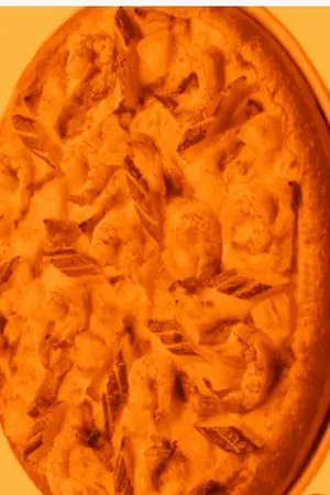 ปกนิยาย human meat pizza