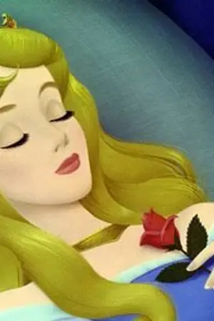 ปกนิยาย เจ้าหญิง แสนซน