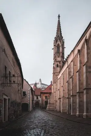 ปกนิยาย ข้ามิติมาตั้งครรห์ให้เจ้าชาย