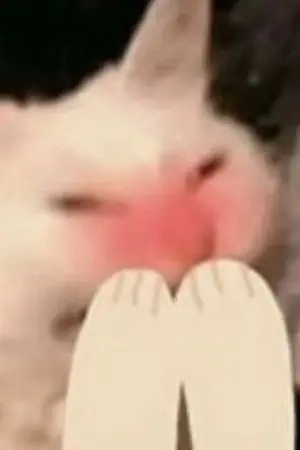 ปกนิยาย แปลไว้อ่าน || Doujinshi kagehina