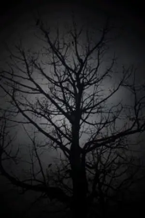 ปกนิยาย กาลครั้งหนึ่งในความมืด