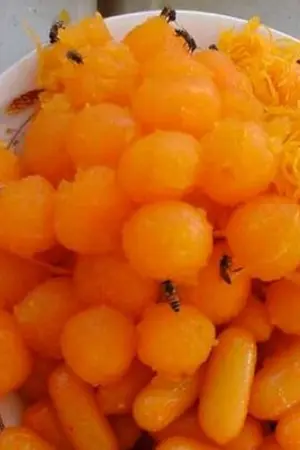 ปกนิยาย ฤทธิ์ภุมริน