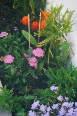 ปกนิยาย เพลิงรัก...เเรงแค้น (จันทร์เจ้า เกรซ)