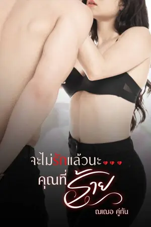 ปกนิยาย จะไม่รักแล้วนะ...คุณที่ร้าย