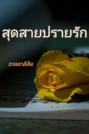 ปกนิยาย