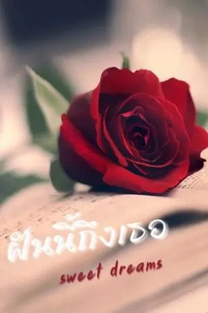 ปกนิยาย ฝันนี้ถึงเธอ