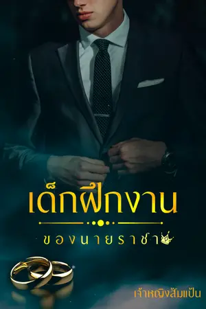 ปกนิยาย