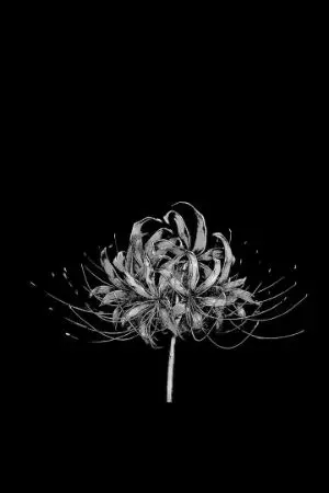 ปกนิยาย ไดอารี่เปื้อนน้ำตา